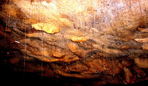 Glowworms elsewhere in the caves, with their silken, beaded threads