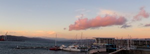 The harbour from Te Papa