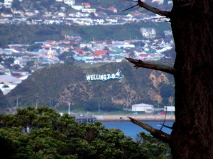 The 'Windy Wellington' sign