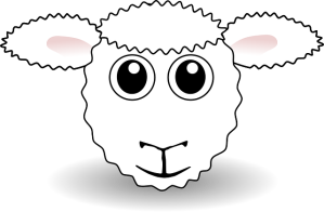 sheep-151666_640