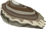 oyster-576545_640