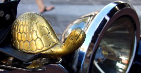 A Tortoise Hood Ornament on a Vintage Car