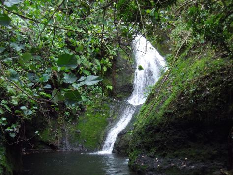 Wigmores Waterfall, Rarotonga