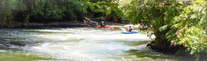 Kayakers at Okere Falls