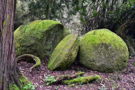 whitecliffs boulders